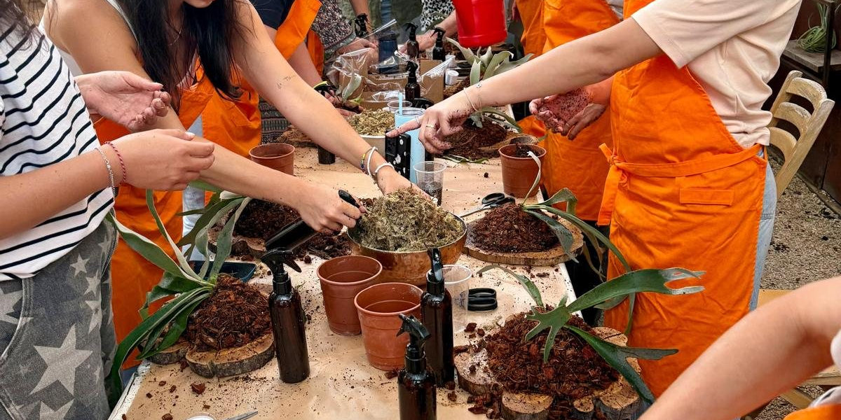 סדנת גיבוש לצוותים: אירוע חברה ירוק ומקורי