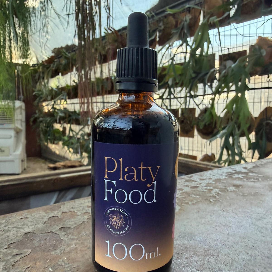 דשן מרוכז לאפיפיטיים (Platy Food)