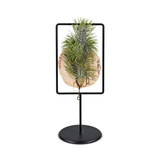 אריחי איוננטה במסגרת (Ionantha Tiles in Frame)