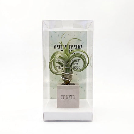 קוביית אנרגיה אווירית - בריאות