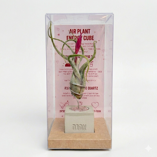 קוביית אנרגיה אווירית- אהבה