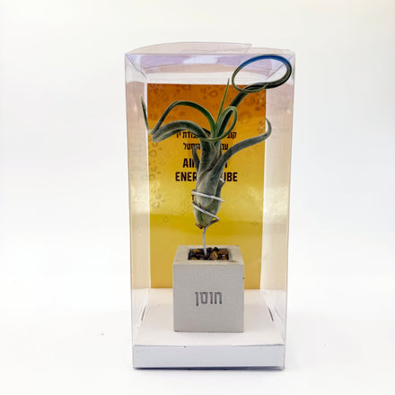 קוביית אנרגיה אווירית- חוסן