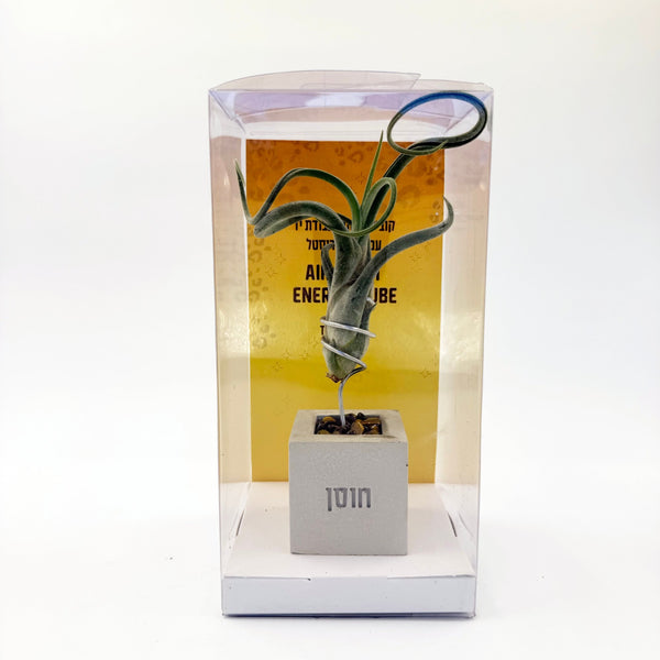 קוביית אנרגיה אווירית - חוסן