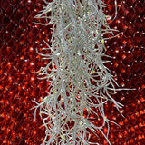 Spanish moss Columbia