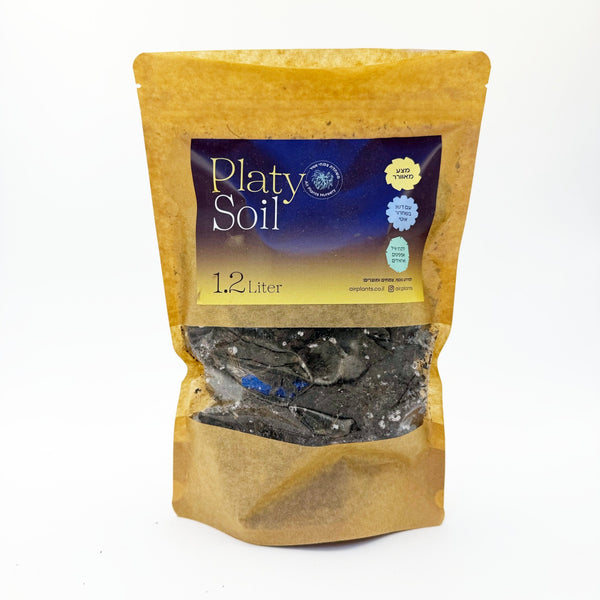 מצע לקרני אייל ואפיפיטים (Platy Soil)