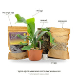 ערכת הצמדה לקרן אייל