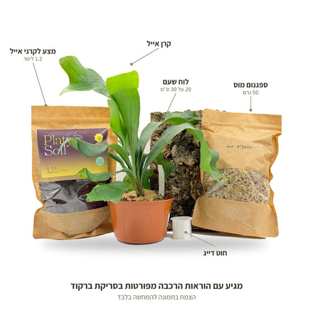 ערכת הצמדה לקרן אייל