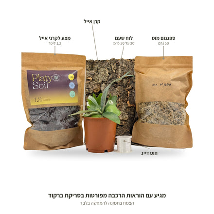 ערכת הצמדה לקרן אייל